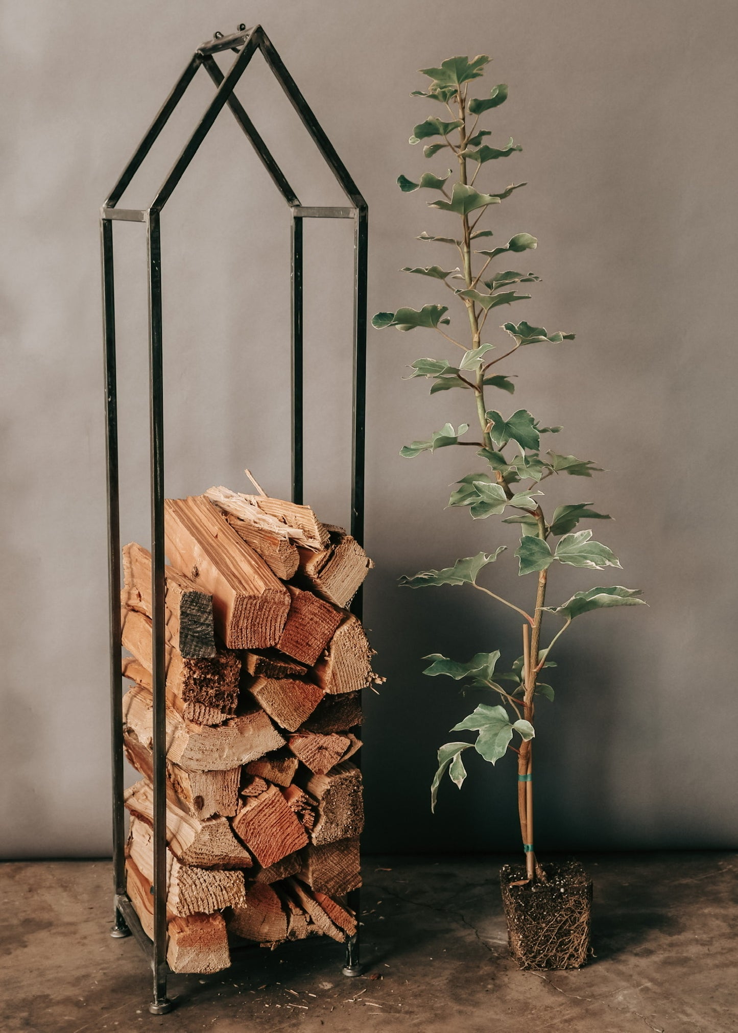 Metal House Log Holder