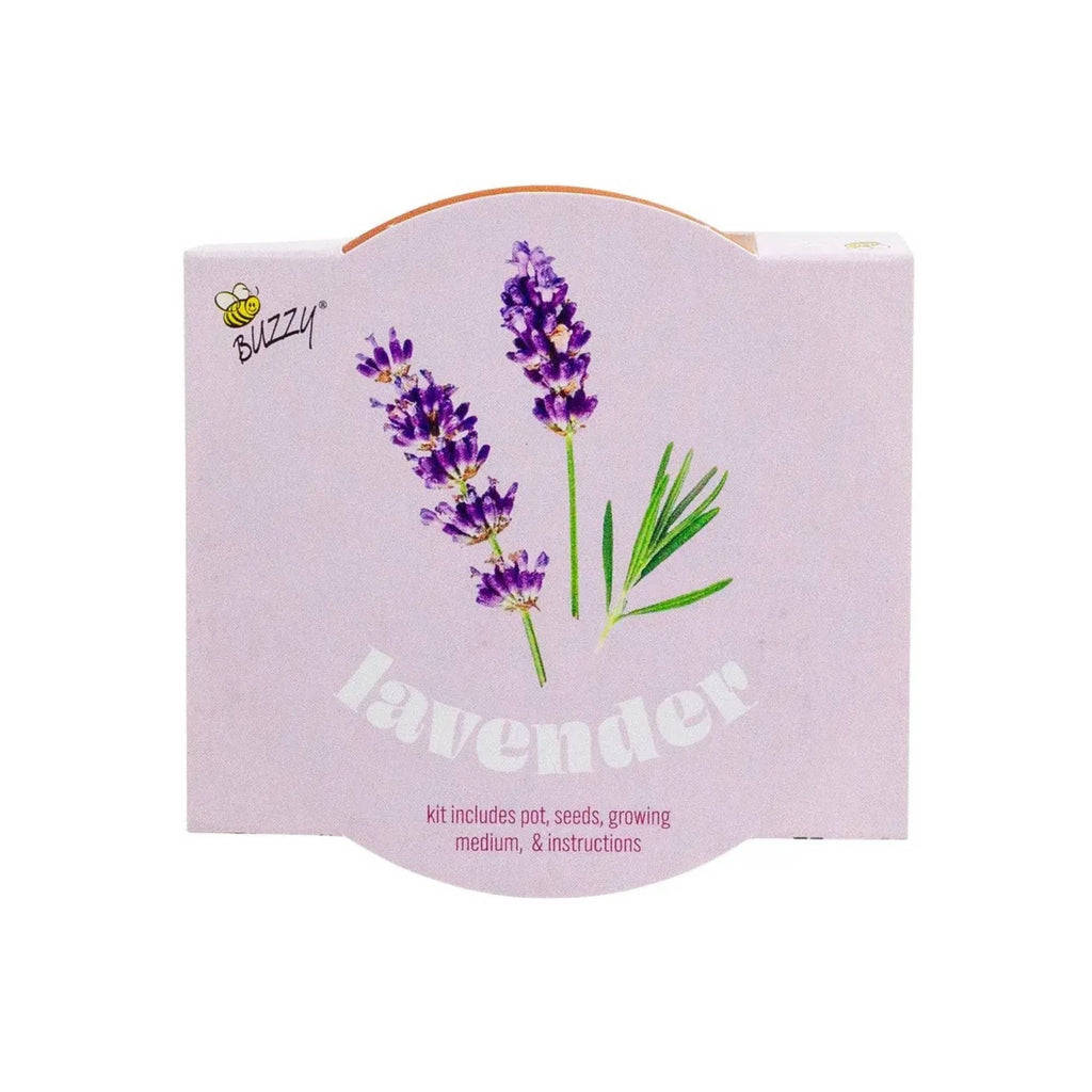 Classic 3.3 in Terracotta Lavender Grow Kit | Indoor | Gift