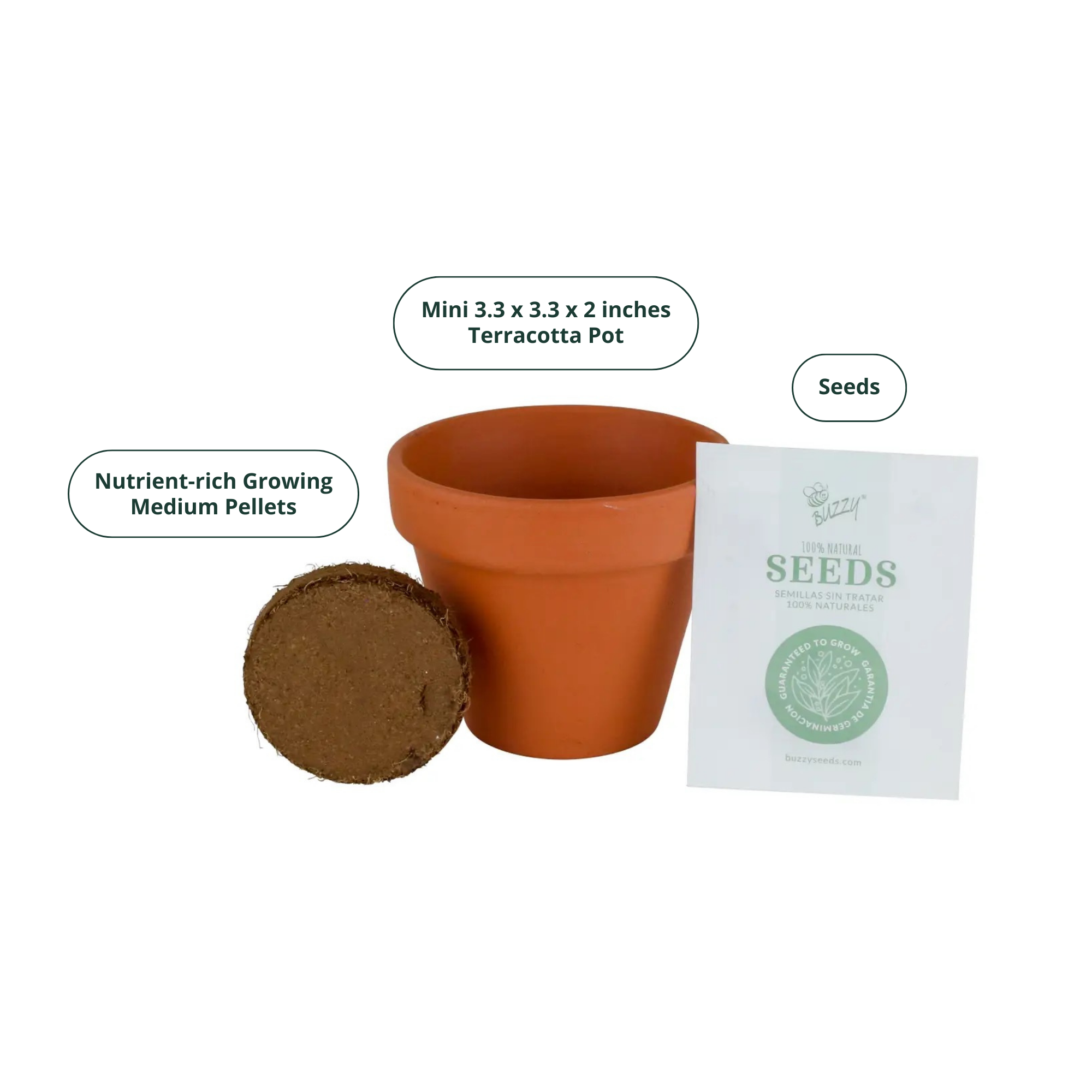 Classic 3.3 in Terracotta Lavender Grow Kit | Indoor | Gift