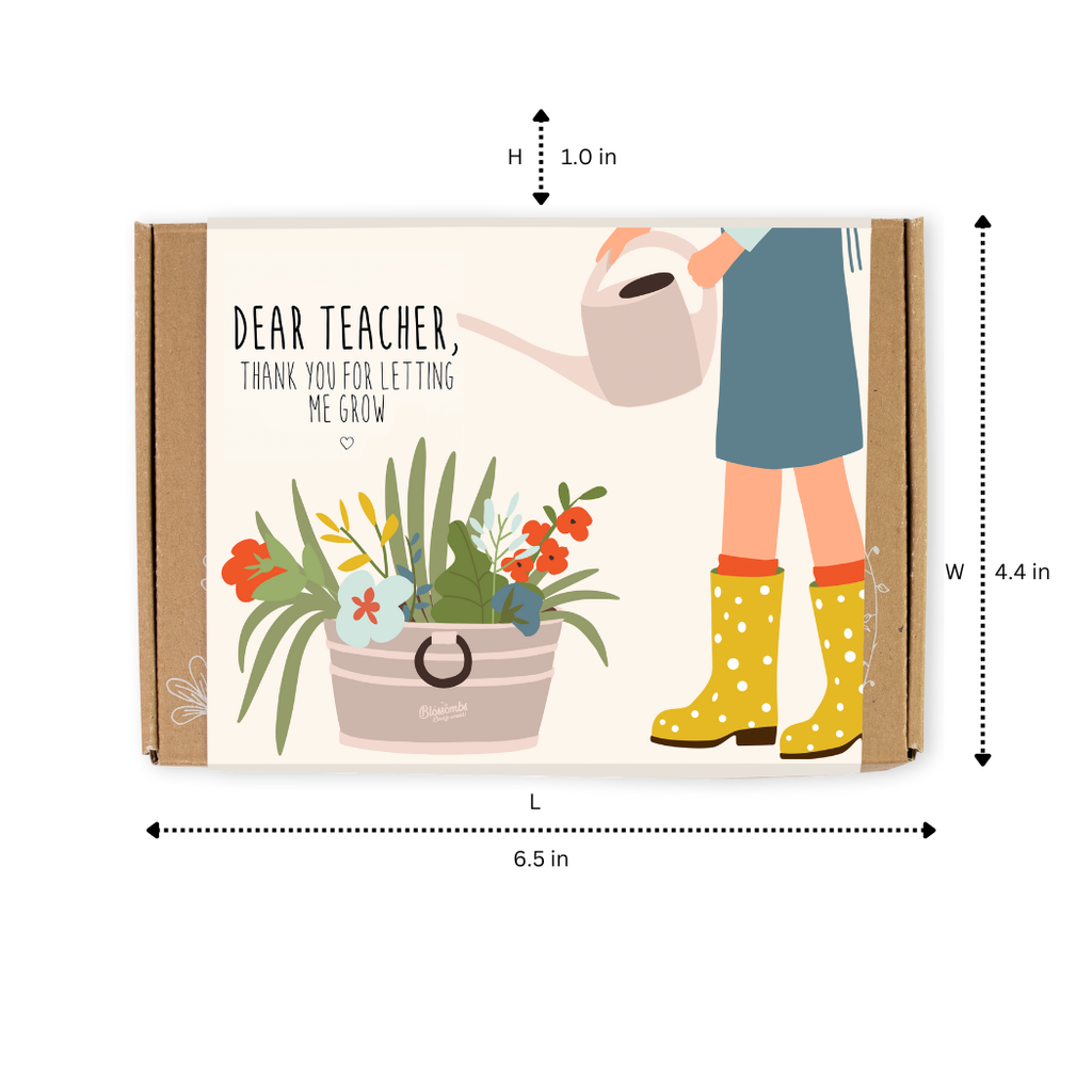 Small Dear Teacher Seed Bomb Box | Wildflower Balls | Gift