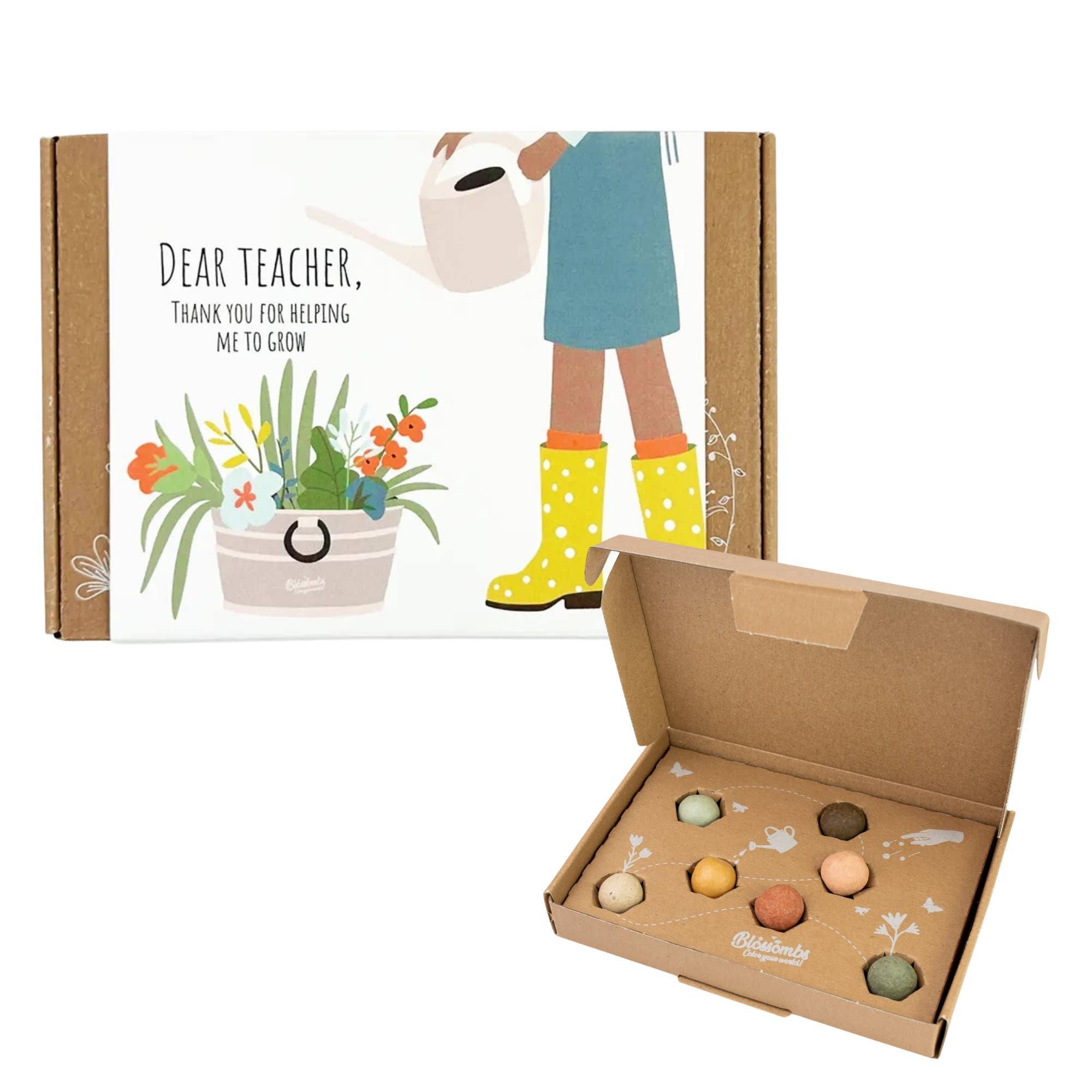 Small Dear Teacher Seed Bomb Box | Wildflower Balls | Gift