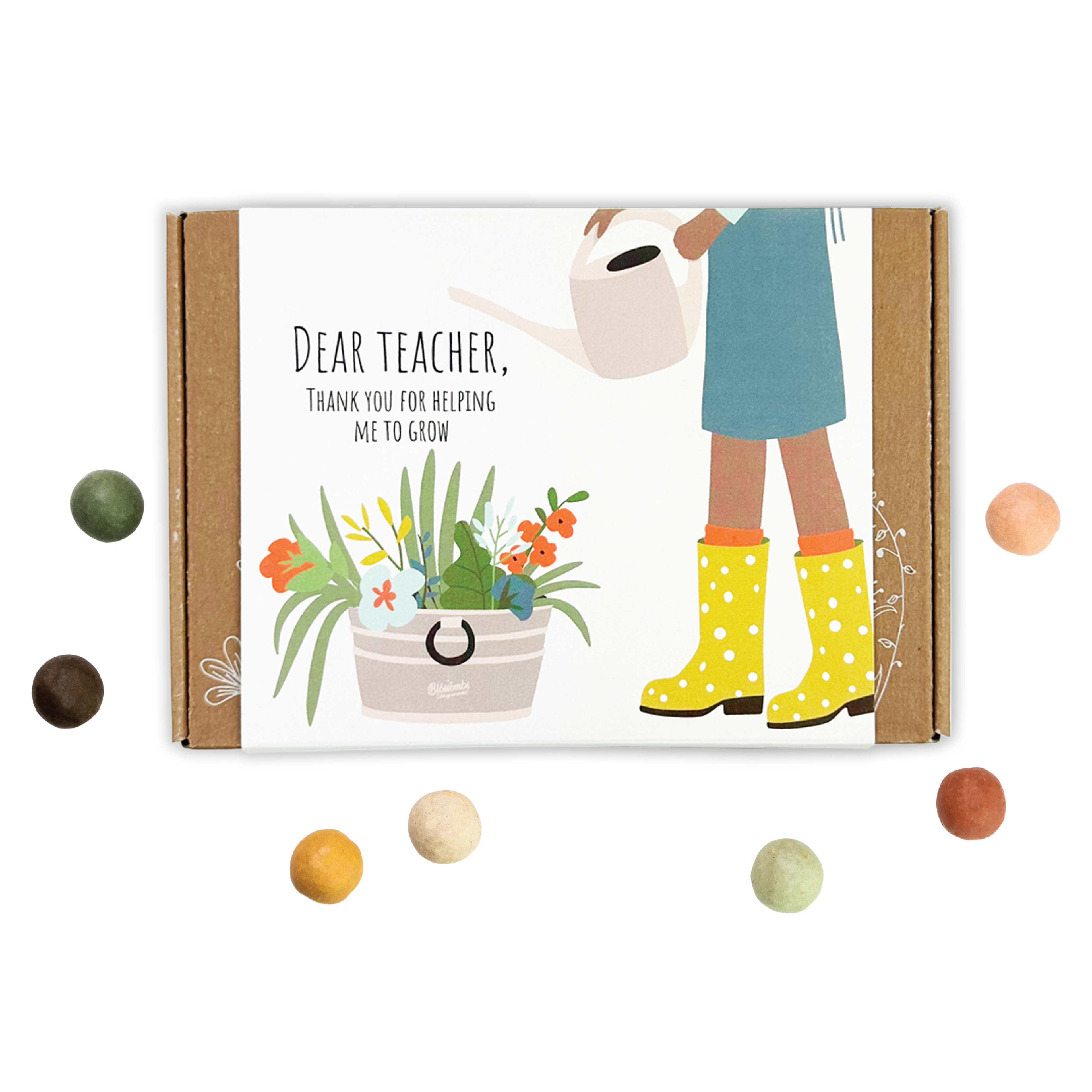Small Dear Teacher Seed Bomb Box | Wildflower Balls | Gift