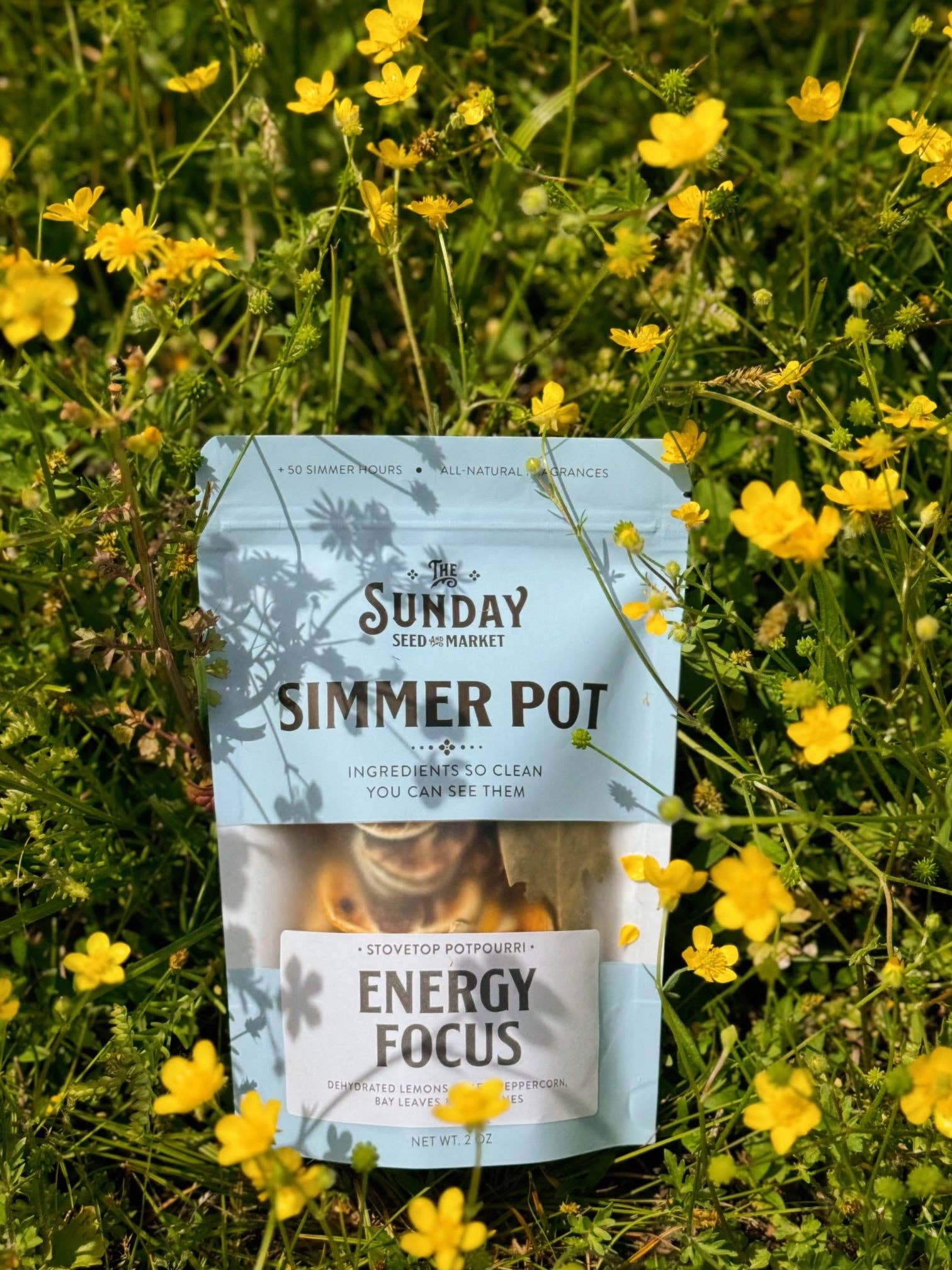 Energy Focus Simmer Pot | Lemon Lime Peppercorn Bay Leaves