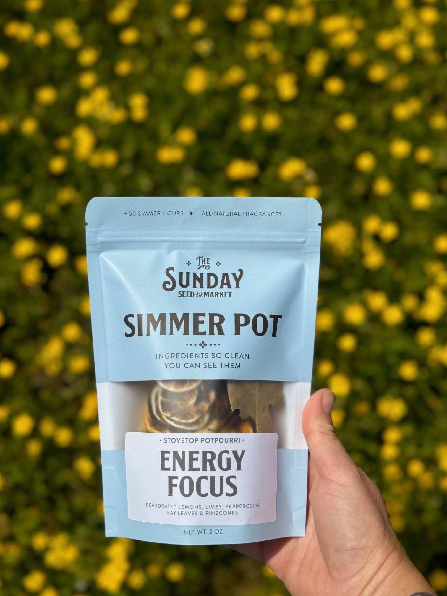 Energy Focus Simmer Pot | Lemon Lime Peppercorn Bay Leaves
