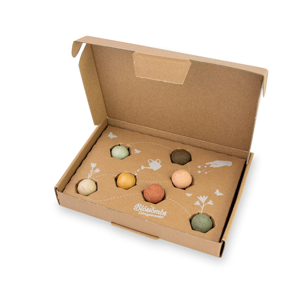 Small Dear Teacher Seed Bomb Box | Wildflower Balls | Gift