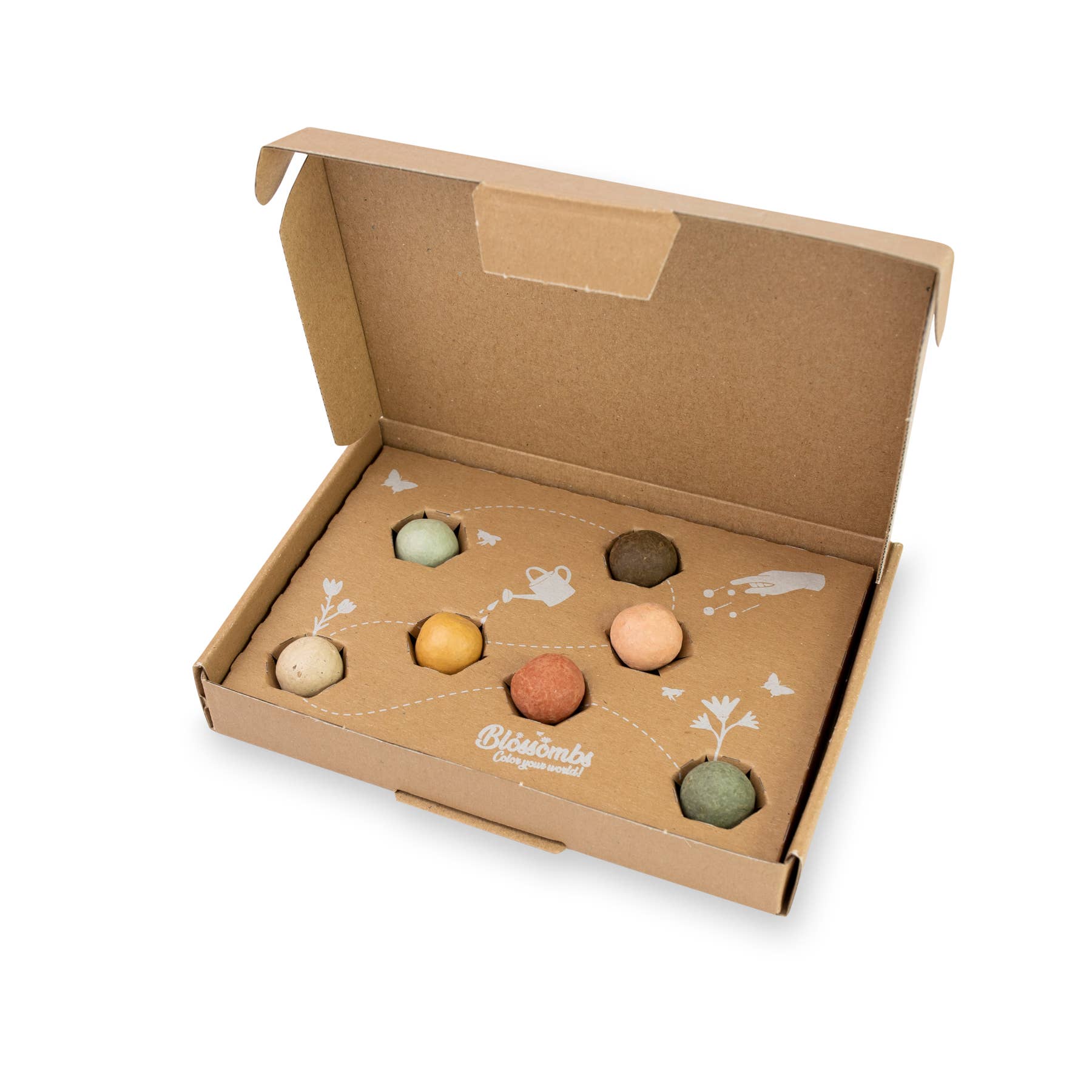 Small Dear Teacher Seed Bomb Box | Wildflower Balls | Gift