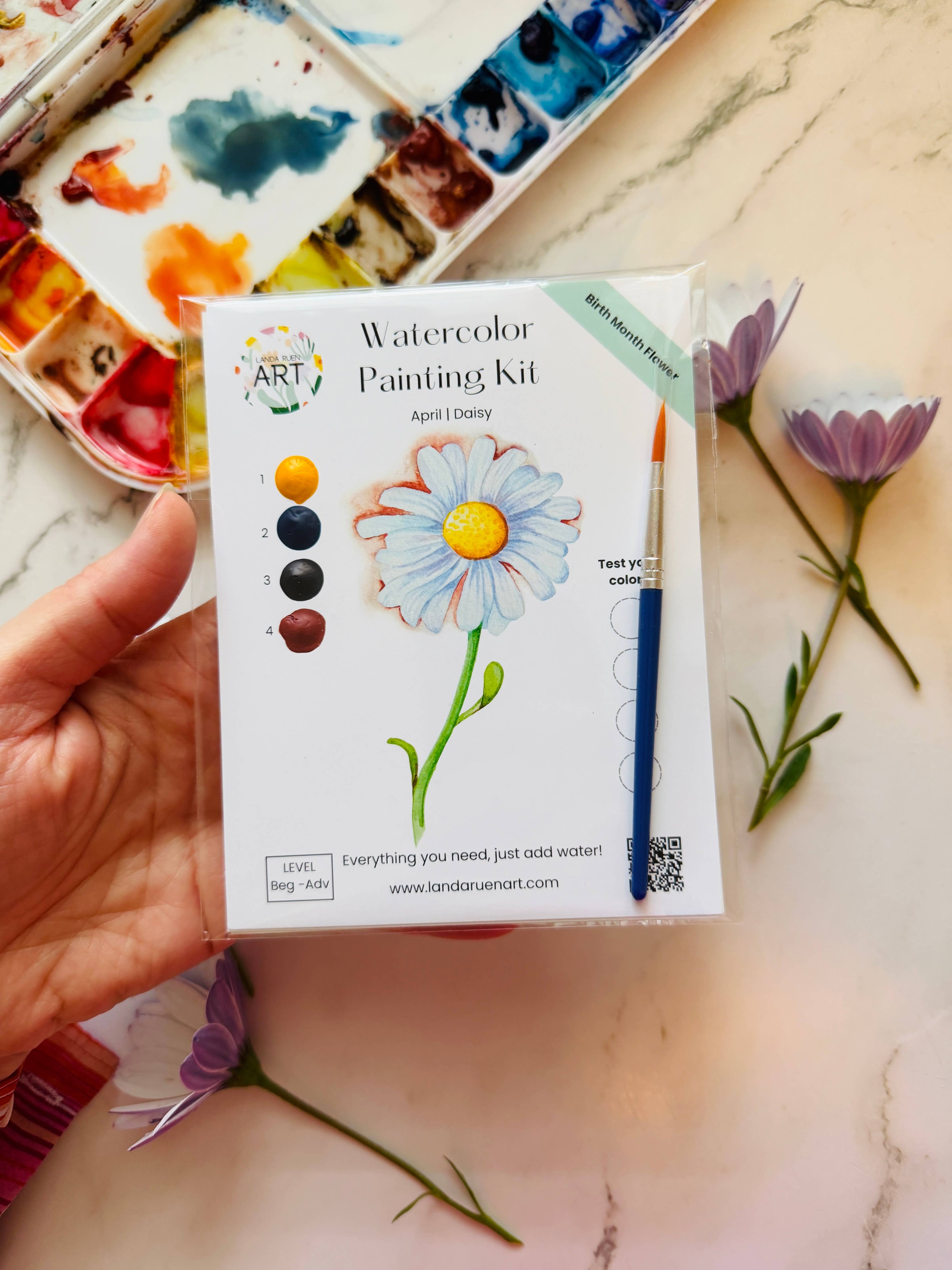 Daisy Watercolor Kit | April Birth Month Flower