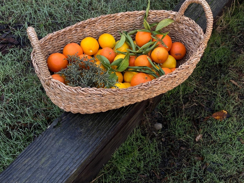 Harvest Baskets