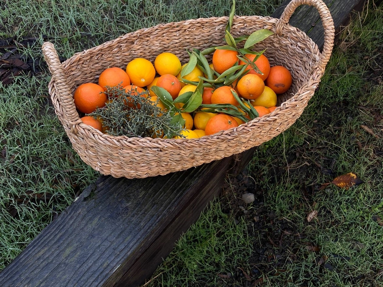 Harvest Baskets