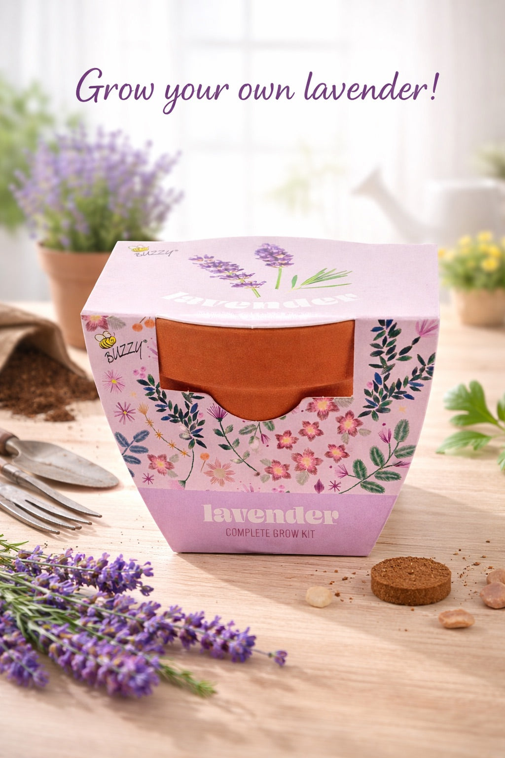 Classic 3.3 in Terracotta Lavender Grow Kit | Indoor | Gift