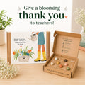 Small Dear Teacher Seed Bomb Box | Wildflower Balls | Gift
