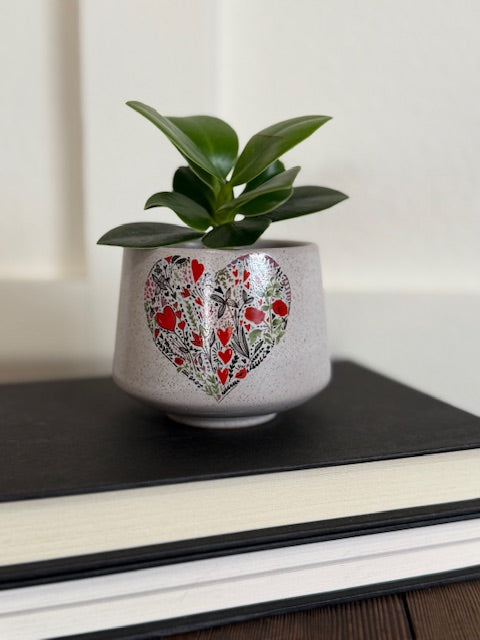 Heart Explosion Mini Cup